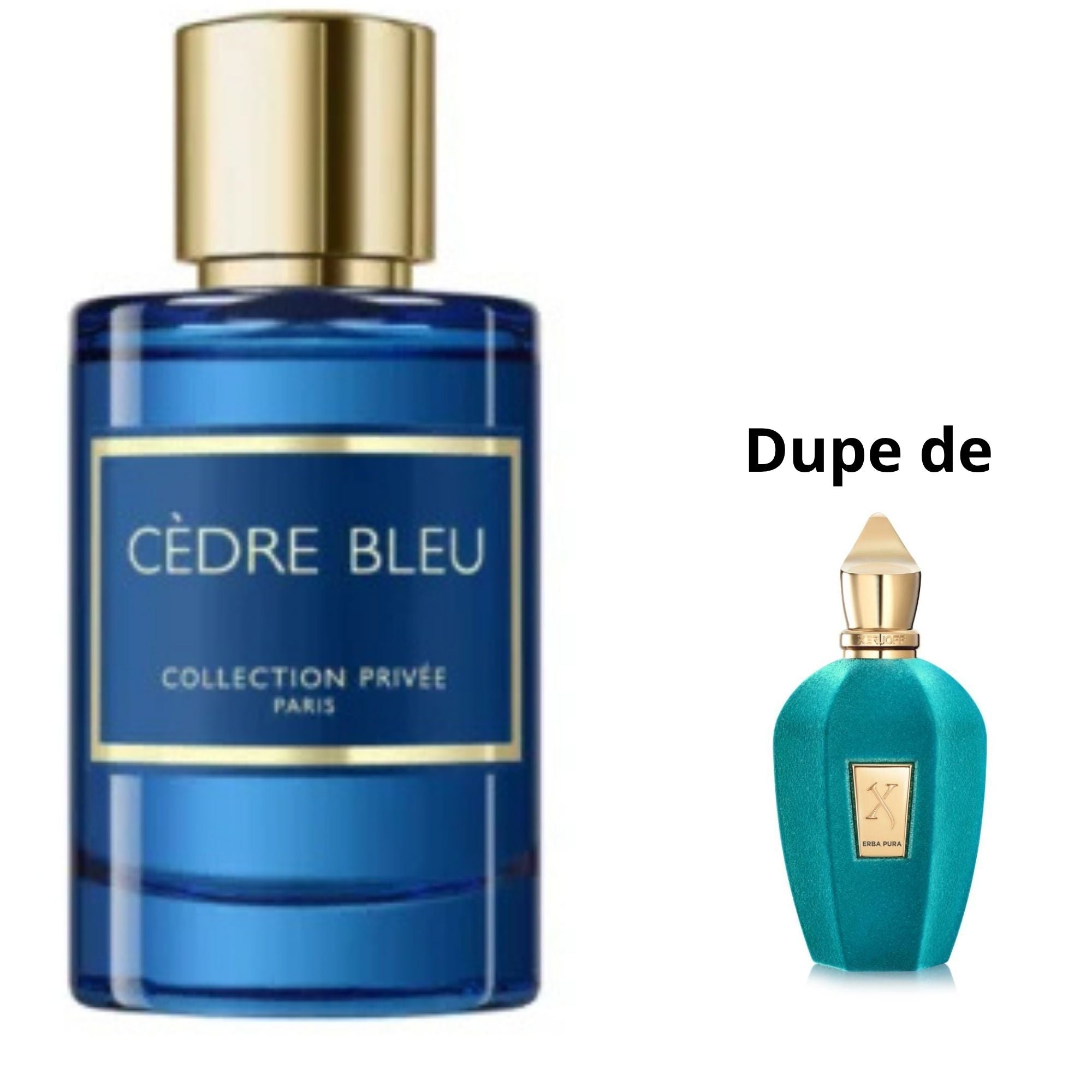 Cedre Bleu